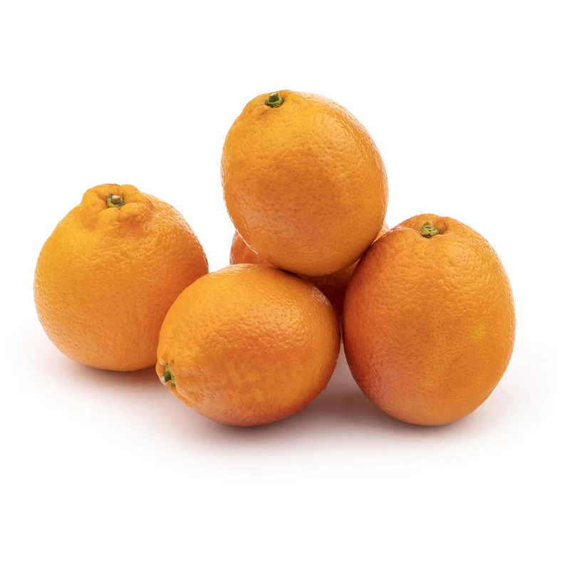 پرتقال تو سرخ Fresh - 1 کیلوگرم